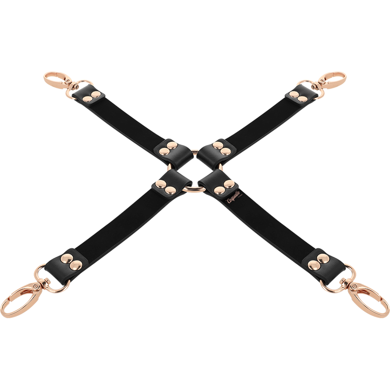 COQUETTE CHIC DESIRE - FANTASY VEGAN LEATHER HOG TIE - Image 5