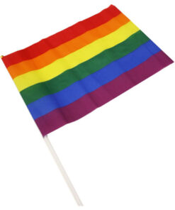 PRIDE - LGBT FLAG MEDIUM PENNANT
