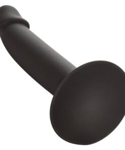 CALEXOTICS - SLIM ANAL STUD