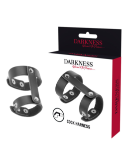 DARKNESS - LEATHER ADJUSTABLE PENIS AND TESTICLE RING