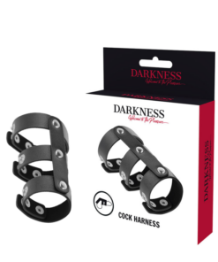 DARKNESS - ADJUSTABLE LEATHER DOUBLE PENIS AND TESTICLE RING