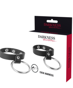 DARKNESS - METAL RING FOR THE PENIS AND TESTICLES