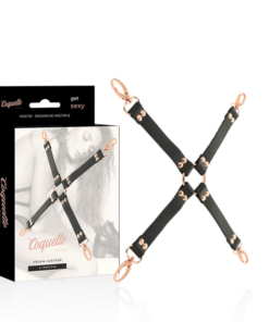 COQUETTE CHIC DESIRE - FANTASY VEGAN LEATHER HOG TIE