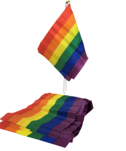 PRIDE - LGBT FLAG SMALL FLAG BANNER