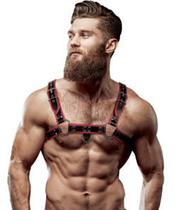 FETISH SUBMISSIVE ATTITUDE - MENS ECO-LEATHER CHEST HARNESS BLACK/RED