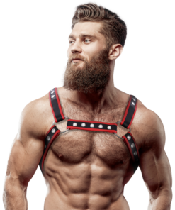 FETISH SUBMISSIVE ATTITUDE - MENS ECO-LEATHER CHEST BULLDOG HARNESS BLACK/RED