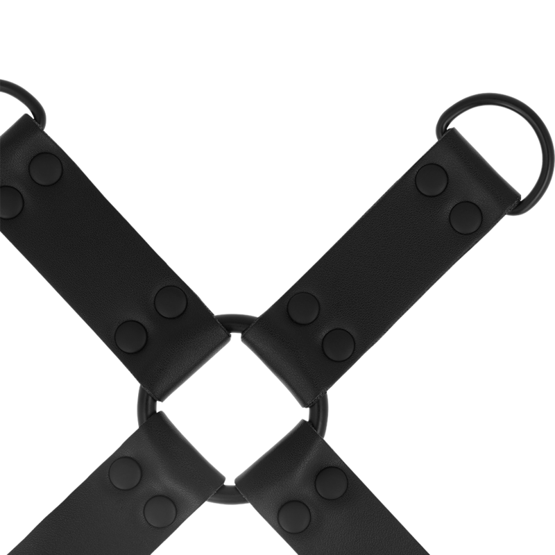 INTENSE - FETISH HOG TIE - Image 5