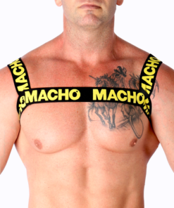 MACHO - DOUBLE YELLOW HARNESS