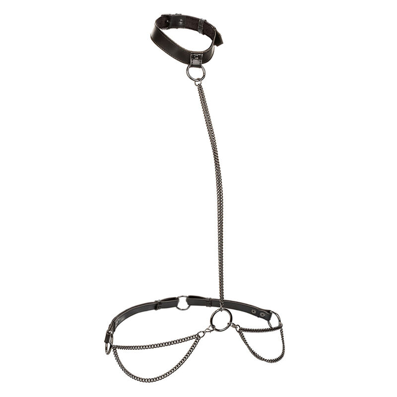 CALEXOTICS - EUPHORIA CHAIN HALTER COLLAR LEASH - Image 2