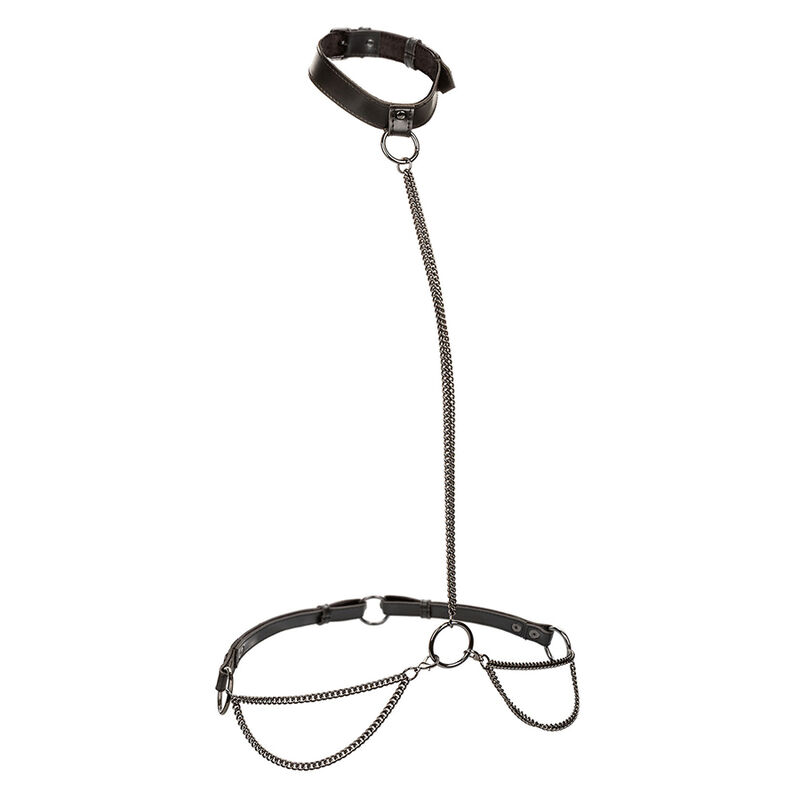 CALEXOTICS - EUPHORIA CHAIN HALTER COLLAR LEASH PLUS SIZE - Image 2