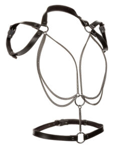 Alternative view of CALEXOTICS - EUPHORIA MULTICHAIN HALTER HARNESS PREMIUM