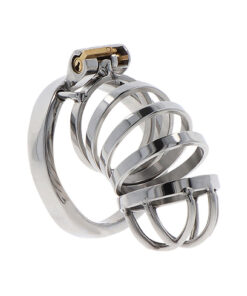 HIDDEN DESIRE - EXTREME CHASTITY COCK CAGE METAL