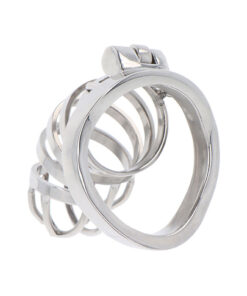 Alternative view of HIDDEN DESIRE - EXTREME CHASTITY COCK CAGE METAL