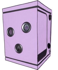 SECRET DOME - KINK CLUB CABIN SCANDALE PURPLE