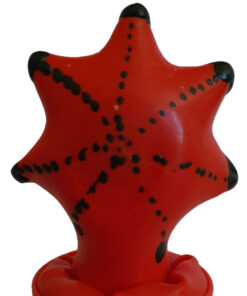 CONDOMERIE - HANDPAINTED NOVELTY CONDOMS STARFISH