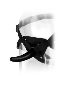 Alternative view of ANAL FANTASY - ARNES THE PEGGER
