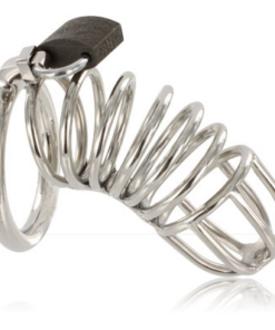 METAL HARD - CAGE RING CHASTITY DEVICE