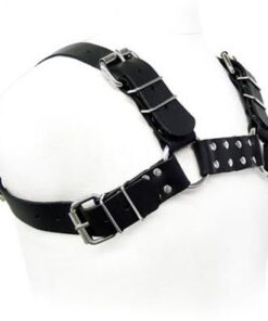 Alternative view of LEATHER BODY - BLACK BULL DOG HARNESS