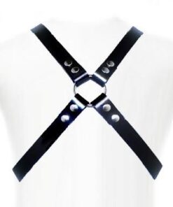 LEATHER BODY - BASIC HARNESS