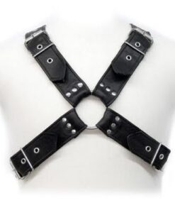 LEATHER BODY - BUCKLES HARNESS