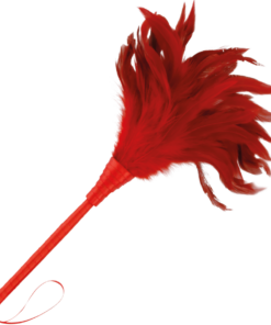 DARKNESS - RED STIMULATING PEN 24CM