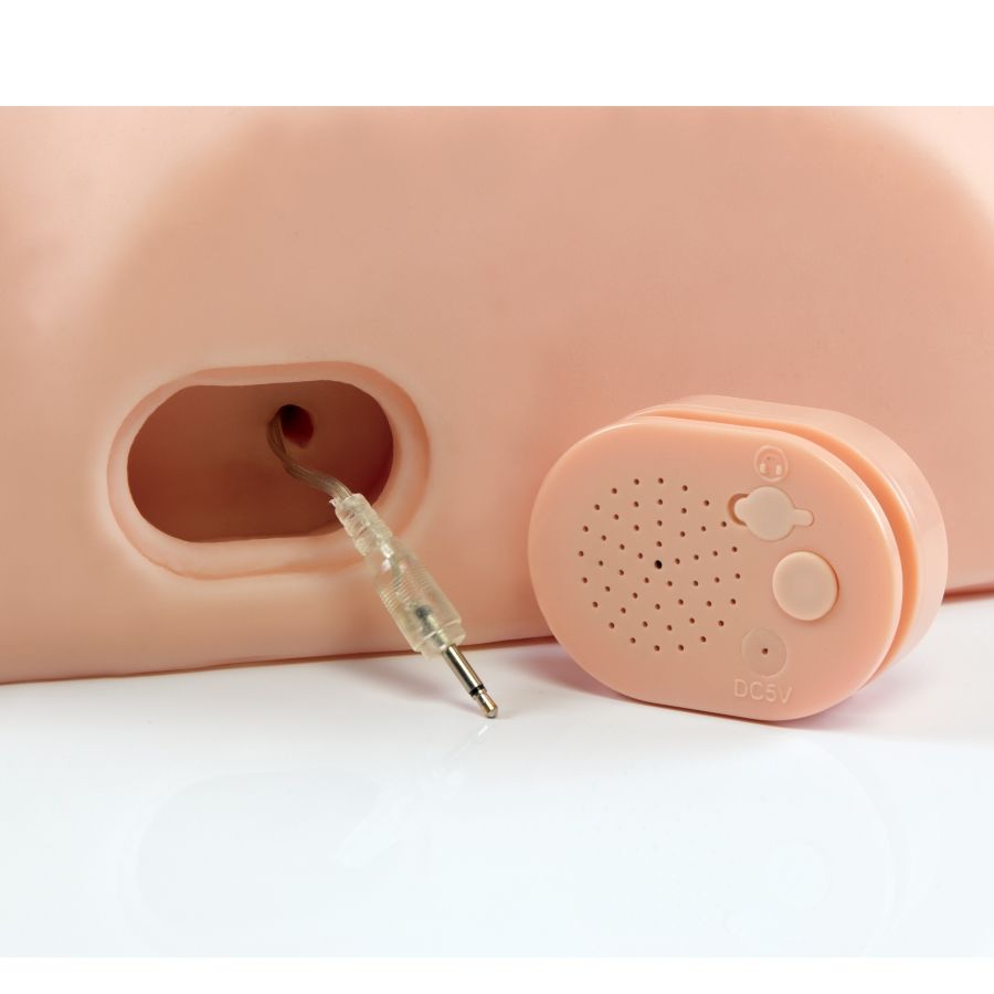 PDX MALE - INTERACTIVE FUCK HIM SILLY - Image 5