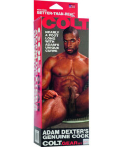 Alternative view of CALEXOTICS - COLT ADAM DEXTERS COCK