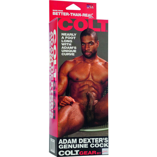 CALEXOTICS - COLT ADAM DEXTERS COCK - Image 2